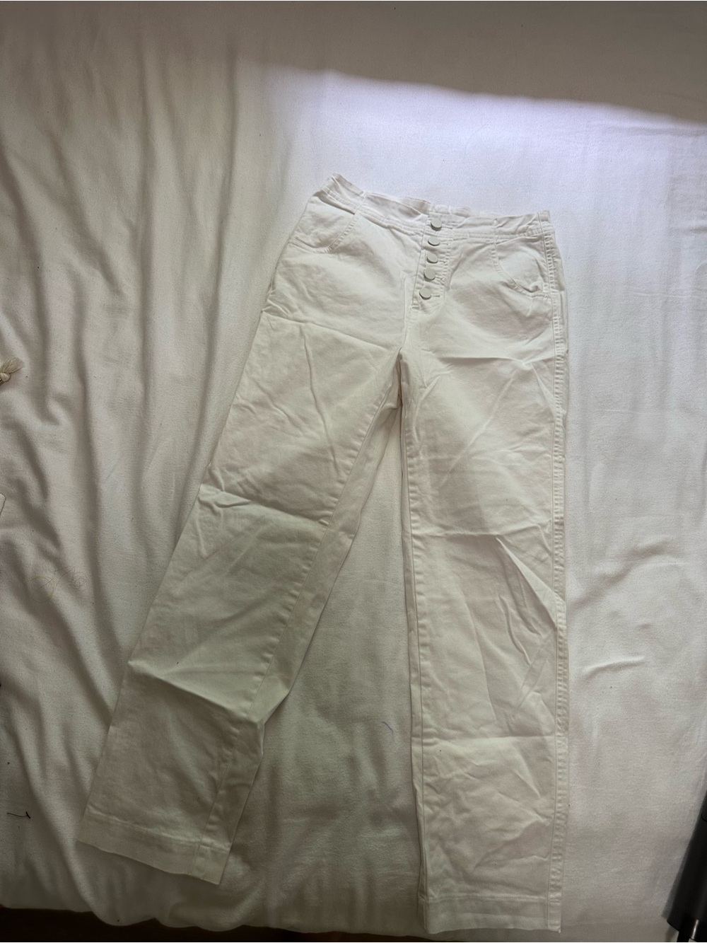 Babaton White High-Rise Wide-Leg Button-Front Pants